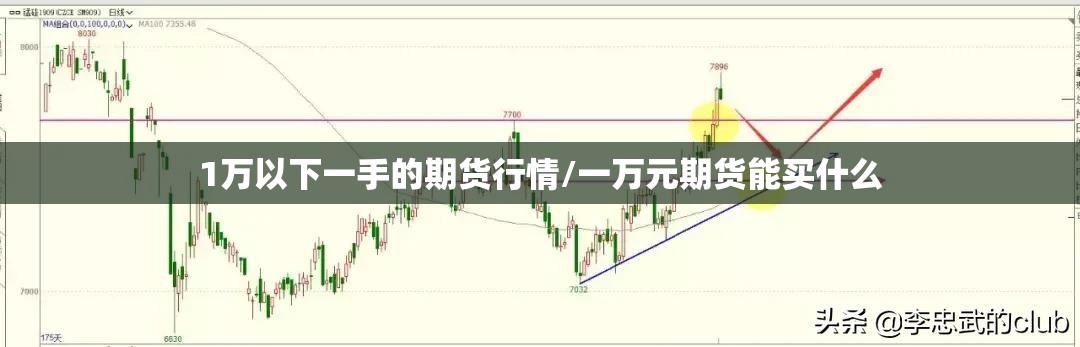 1万以下一手的期货行情/一万元期货能买什么 1万以下一手的期货行情/一万元期货能买什么