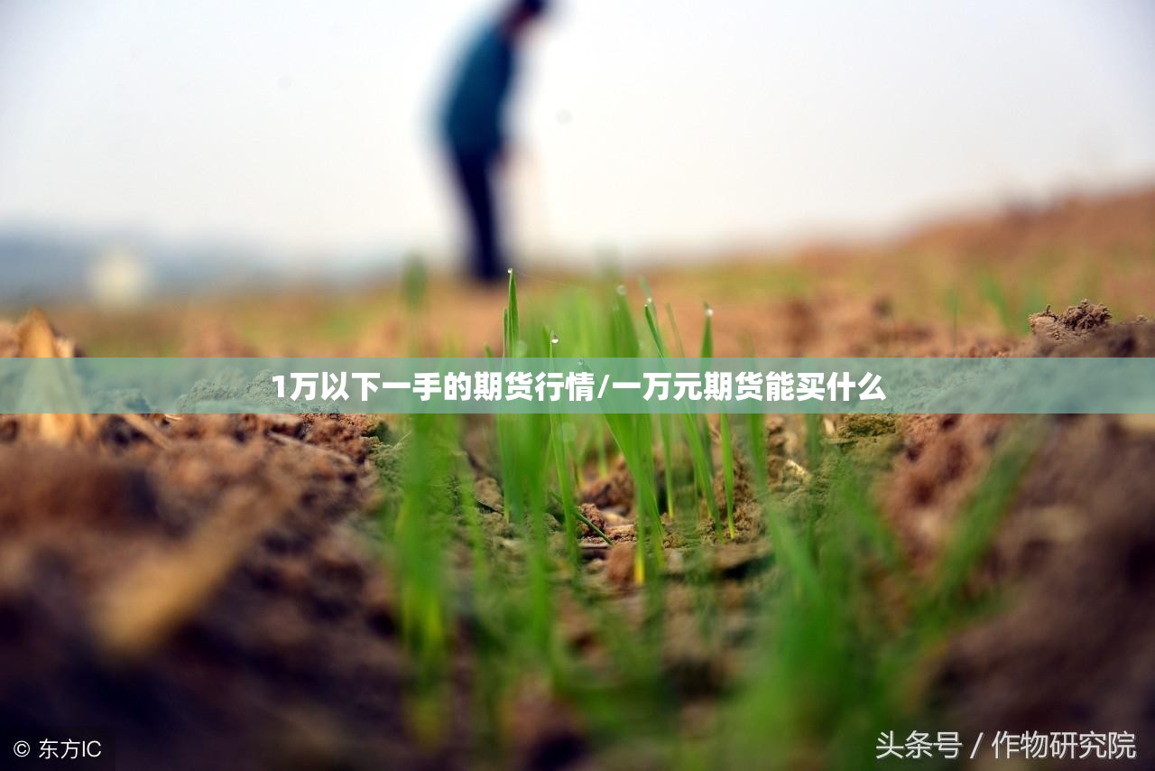 1万以下一手的期货行情/一万元期货能买什么 1万以下一手的期货行情/一万元期货能买什么