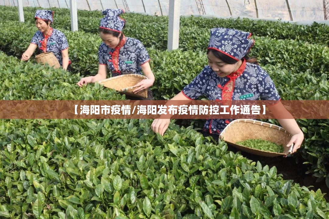【海阳市疫情/海阳发布疫情防控工作通告】 【海阳市疫情/海阳发布疫情防控工作通告】