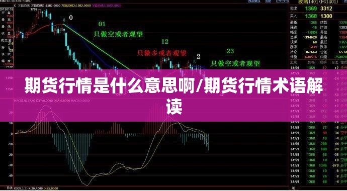 期货行情是什么意思啊/期货行情术语解读