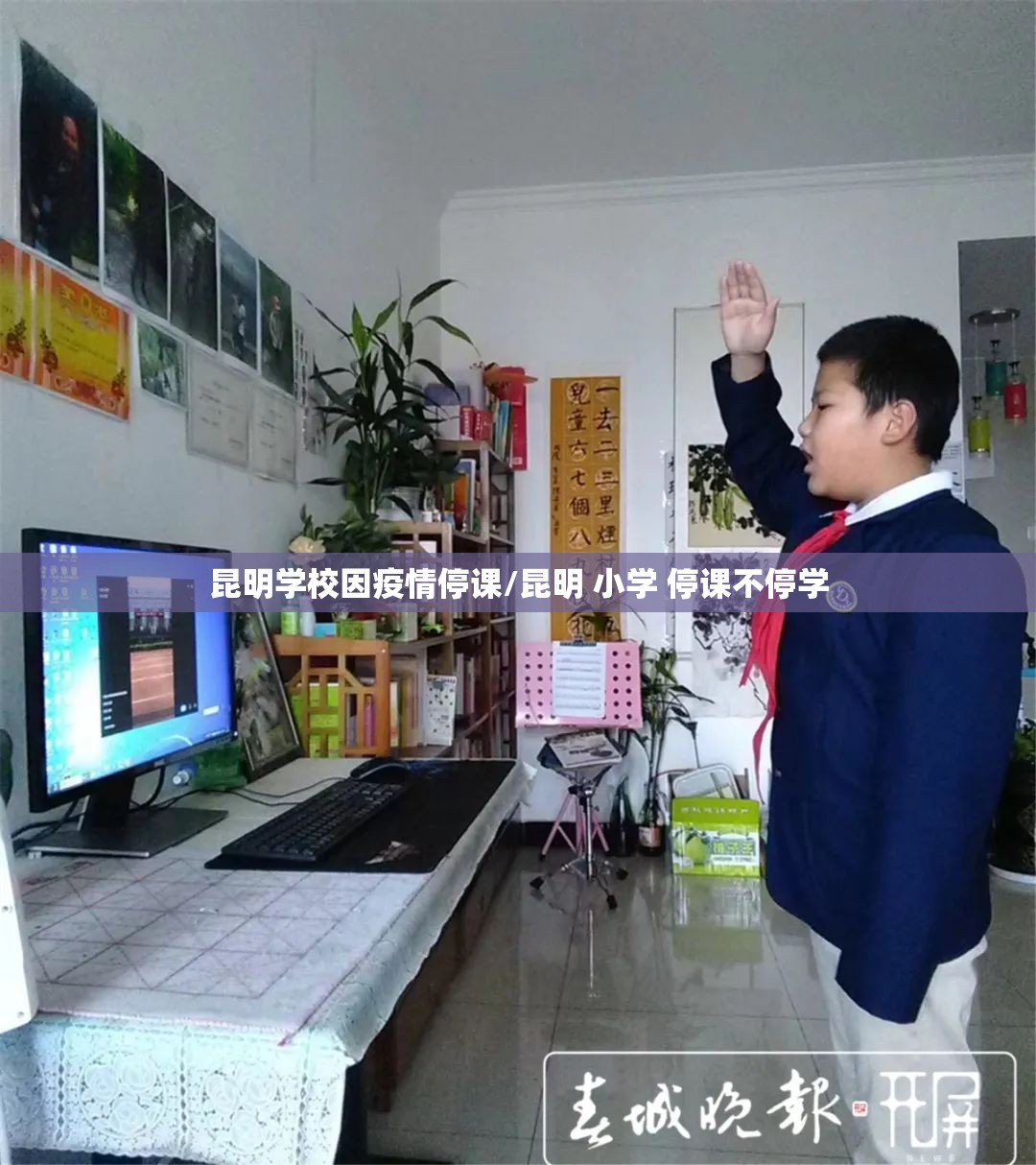 昆明学校因疫情停课/昆明 小学 停课不停学