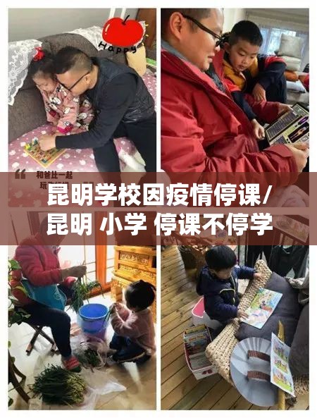 昆明学校因疫情停课/昆明 小学 停课不停学