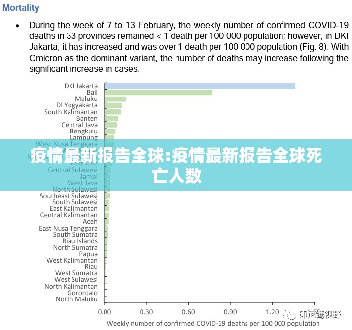 疫情最新报告全球:疫情最新报告全球死亡人数 疫情最新报告全球:疫情最新报告全球死亡人数