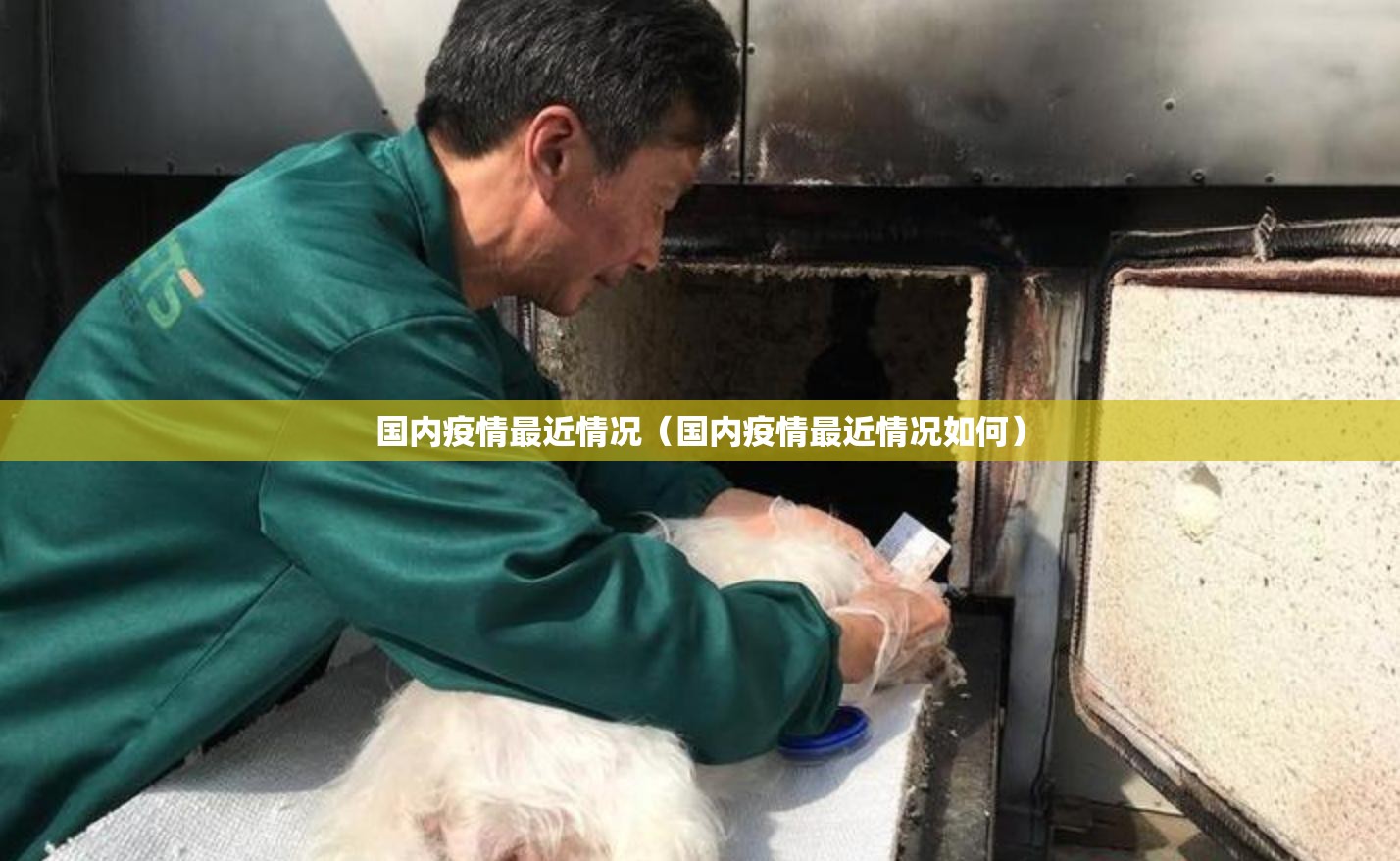 国内疫情最近情况(国内疫情最近情况如何) 国内疫情最近情况(国内疫情最近情况如何)