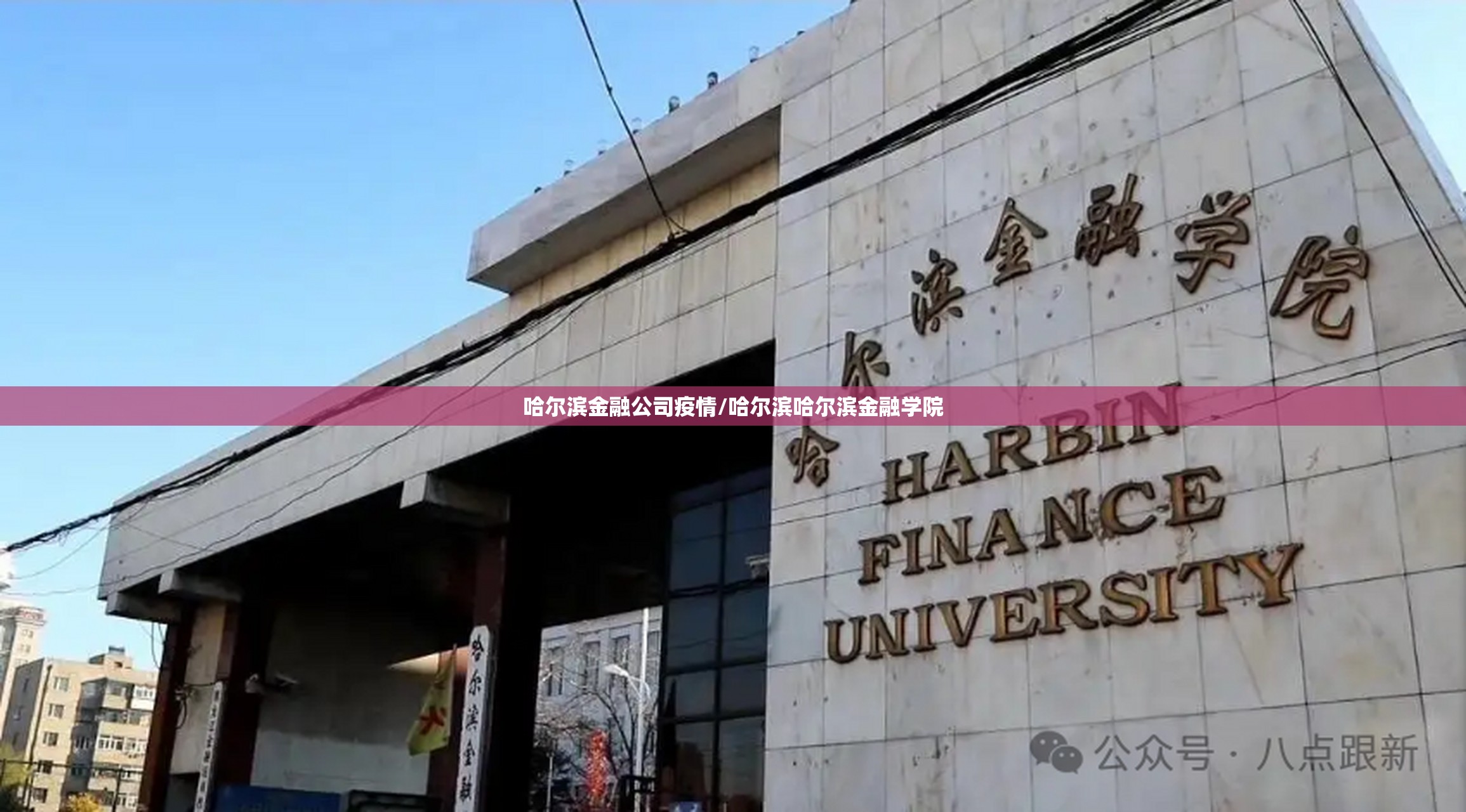 哈尔滨金融公司疫情/哈尔滨哈尔滨金融学院 哈尔滨金融公司疫情/哈尔滨哈尔滨金融学院