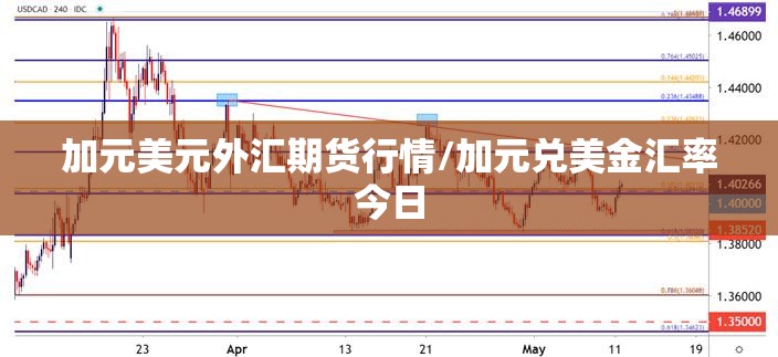 加元美元外汇期货行情/加元兑美金汇率今日 加元美元外汇期货行情/加元兑美金汇率今日