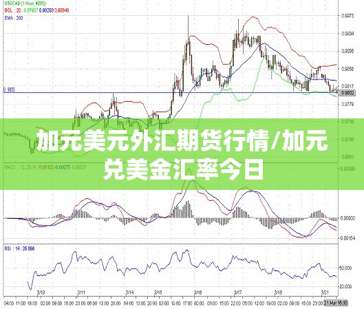 加元美元外汇期货行情/加元兑美金汇率今日 加元美元外汇期货行情/加元兑美金汇率今日