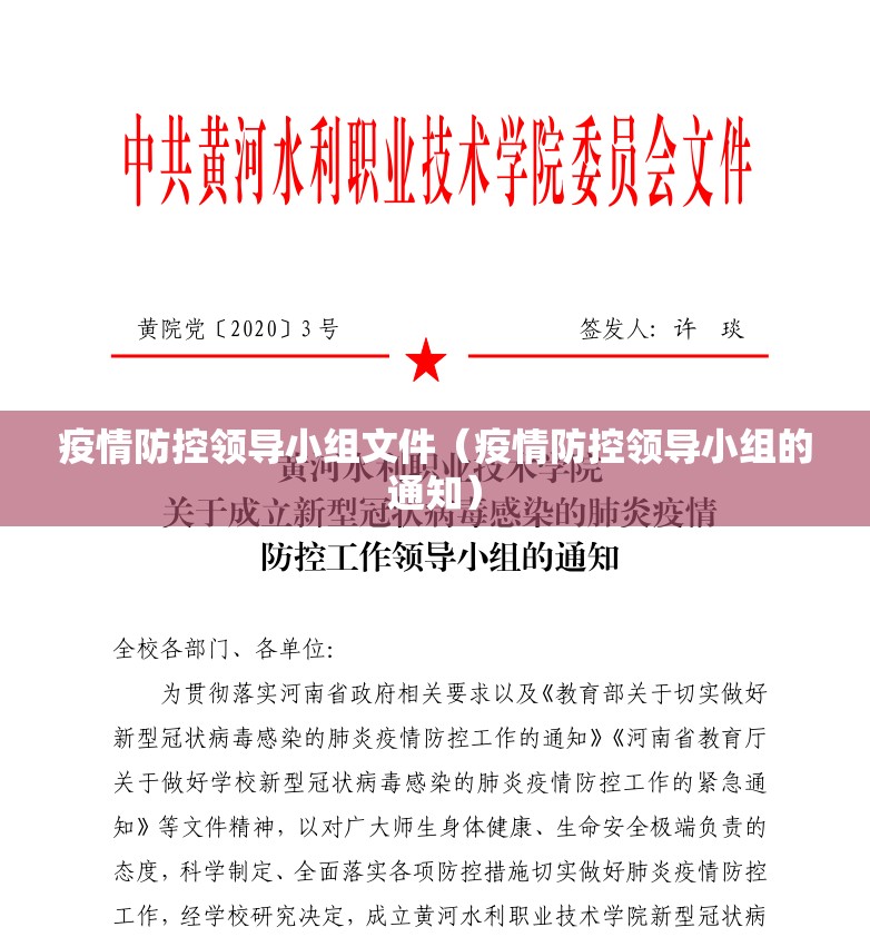 疫情防控领导小组文件(疫情防控领导小组的通知) 疫情防控领导小组文件(疫情防控领导小组的通知)