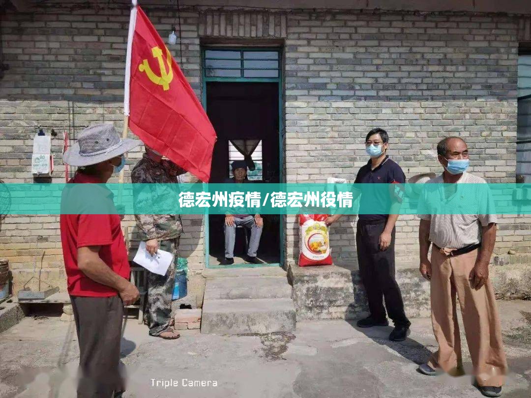 德宏州疫情/德宏州役情 德宏州疫情/德宏州役情