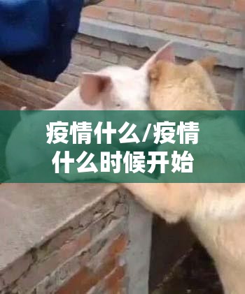 疫情什么/疫情什么时候开始
