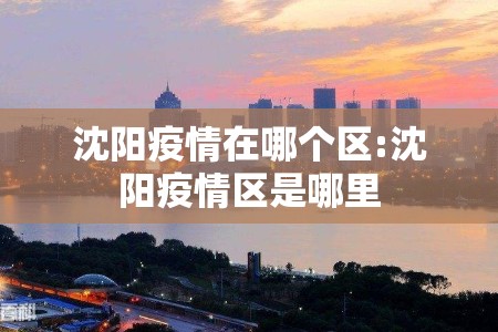 沈阳疫情在哪个区:沈阳疫情区是哪里 沈阳疫情在哪个区:沈阳疫情区是哪里