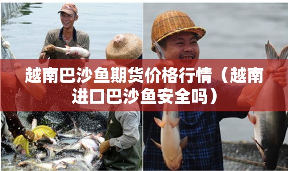 越南巴沙鱼期货价格行情（越南进口巴沙鱼安全吗）