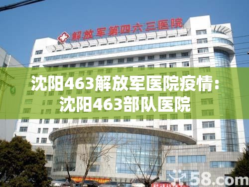 沈阳463解放军医院疫情:沈阳463部队医院
