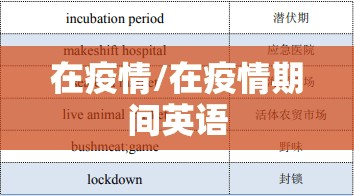 在疫情/在疫情期间英语 在疫情/在疫情期间英语