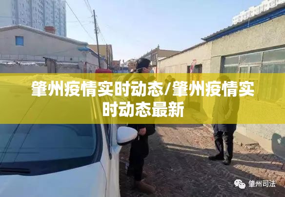 肇州疫情实时动态/肇州疫情实时动态最新