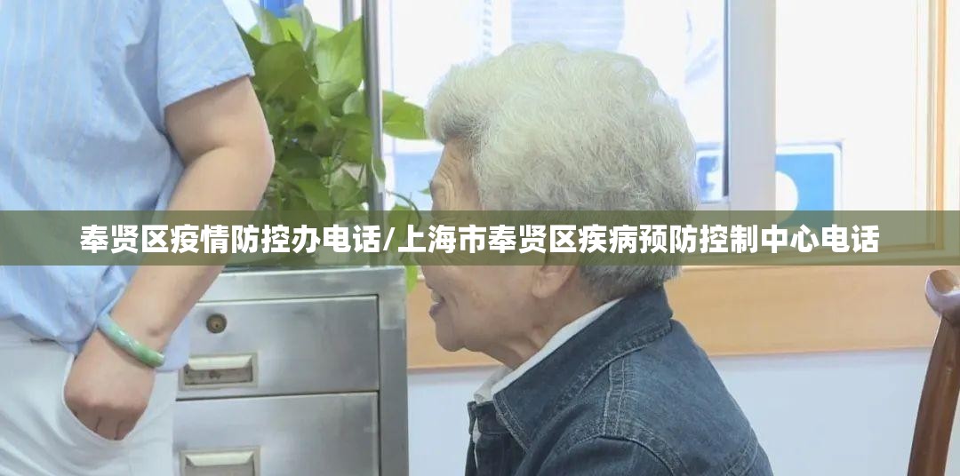 奉贤区疫情防控办电话/上海市奉贤区疾病预防控制中心电话 奉贤区疫情防控办电话/上海市奉贤区疾病预防控制中心电话
