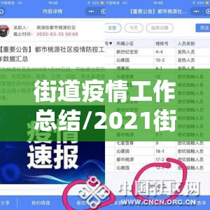 街道疫情工作总结/2021街道疫情情况总结