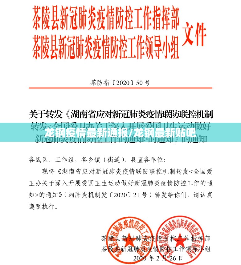 龙钢疫情最新通报/龙钢最新贴吧 龙钢疫情最新通报/龙钢最新贴吧