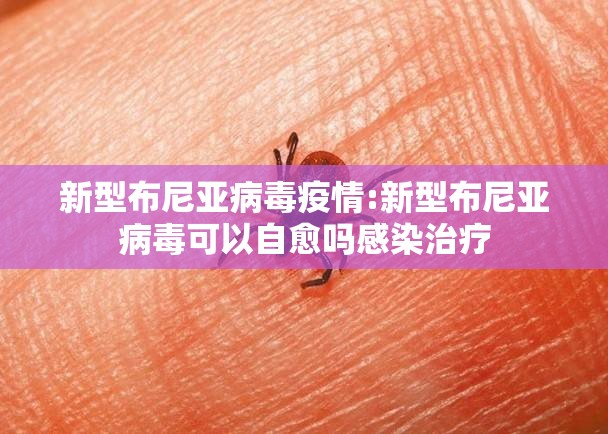 新型布尼亚病毒疫情:新型布尼亚病毒可以自愈吗感染治疗