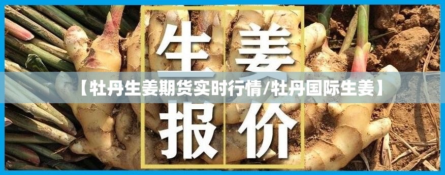 【牡丹生姜期货实时行情/牡丹国际生姜】 【牡丹生姜期货实时行情/牡丹国际生姜】