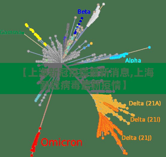 【上海新冠疫情最新消息,上海新冠病毒最新疫情】 【上海新冠疫情最新消息,上海新冠病毒最新疫情】