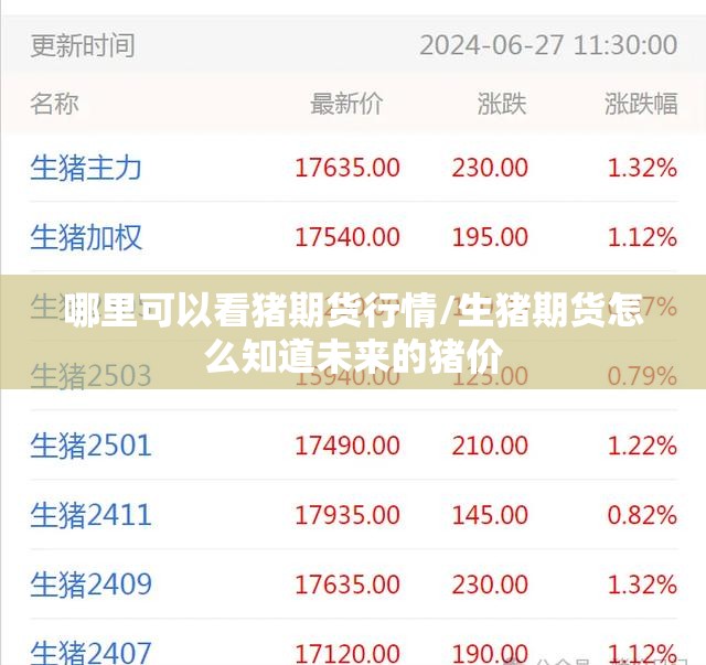 哪里可以看猪期货行情/生猪期货怎么知道未来的猪价
