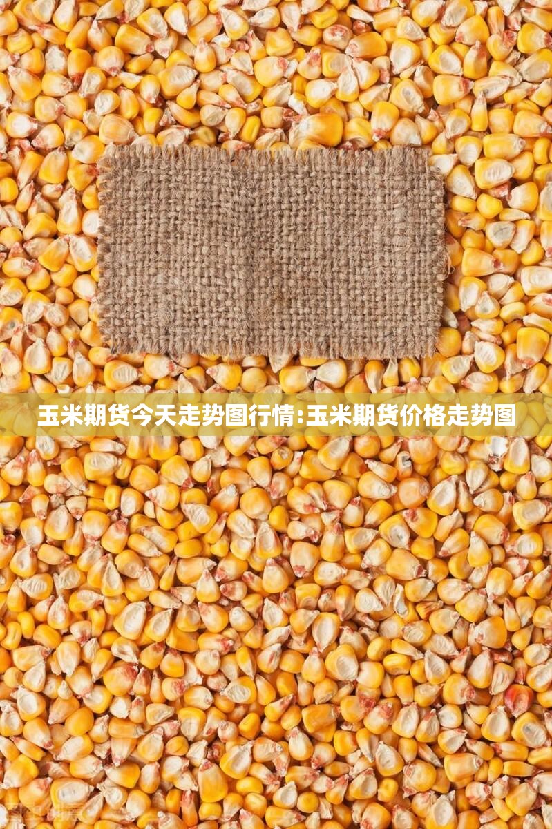 玉米期货今天走势图行情:玉米期货价格走势图 玉米期货今天走势图行情:玉米期货价格走势图