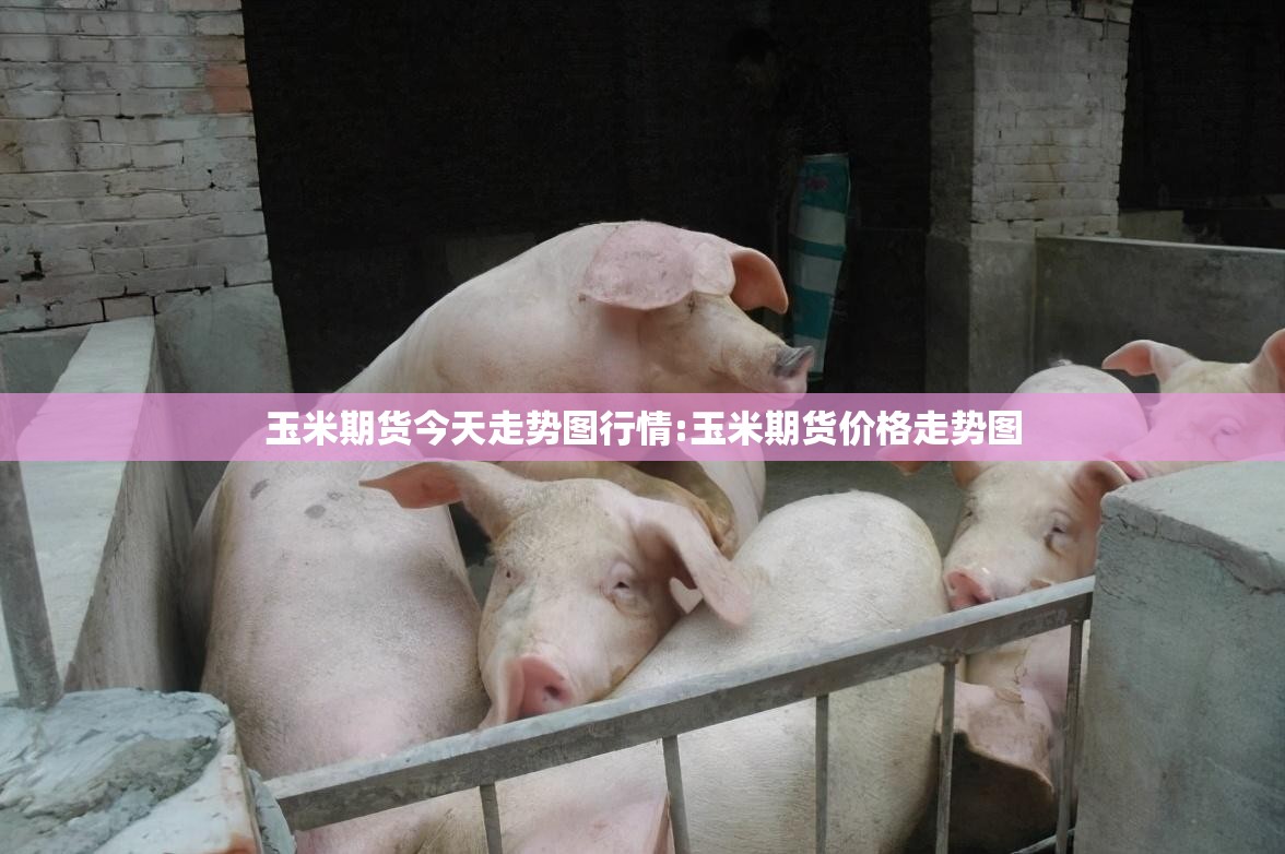 玉米期货今天走势图行情:玉米期货价格走势图 玉米期货今天走势图行情:玉米期货价格走势图