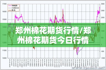 郑州棉花期货行情/郑州棉花期货今日行情 郑州棉花期货行情/郑州棉花期货今日行情