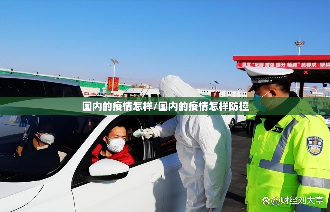 国内的疫情怎样/国内的疫情怎样防控
