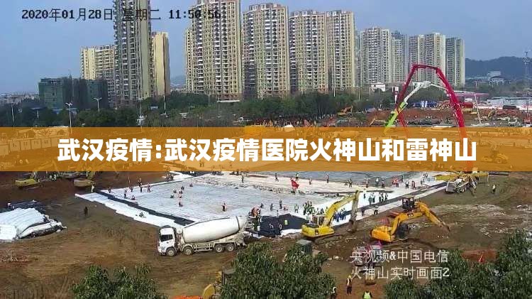 武汉疫情:武汉疫情医院火神山和雷神山