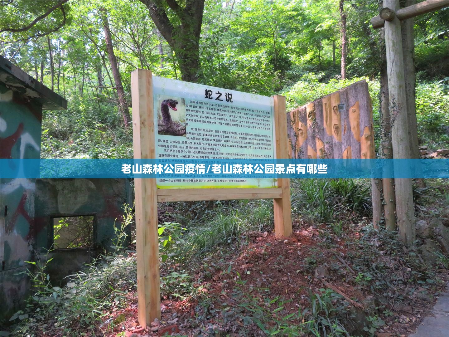 老山森林公园疫情/老山森林公园景点有哪些