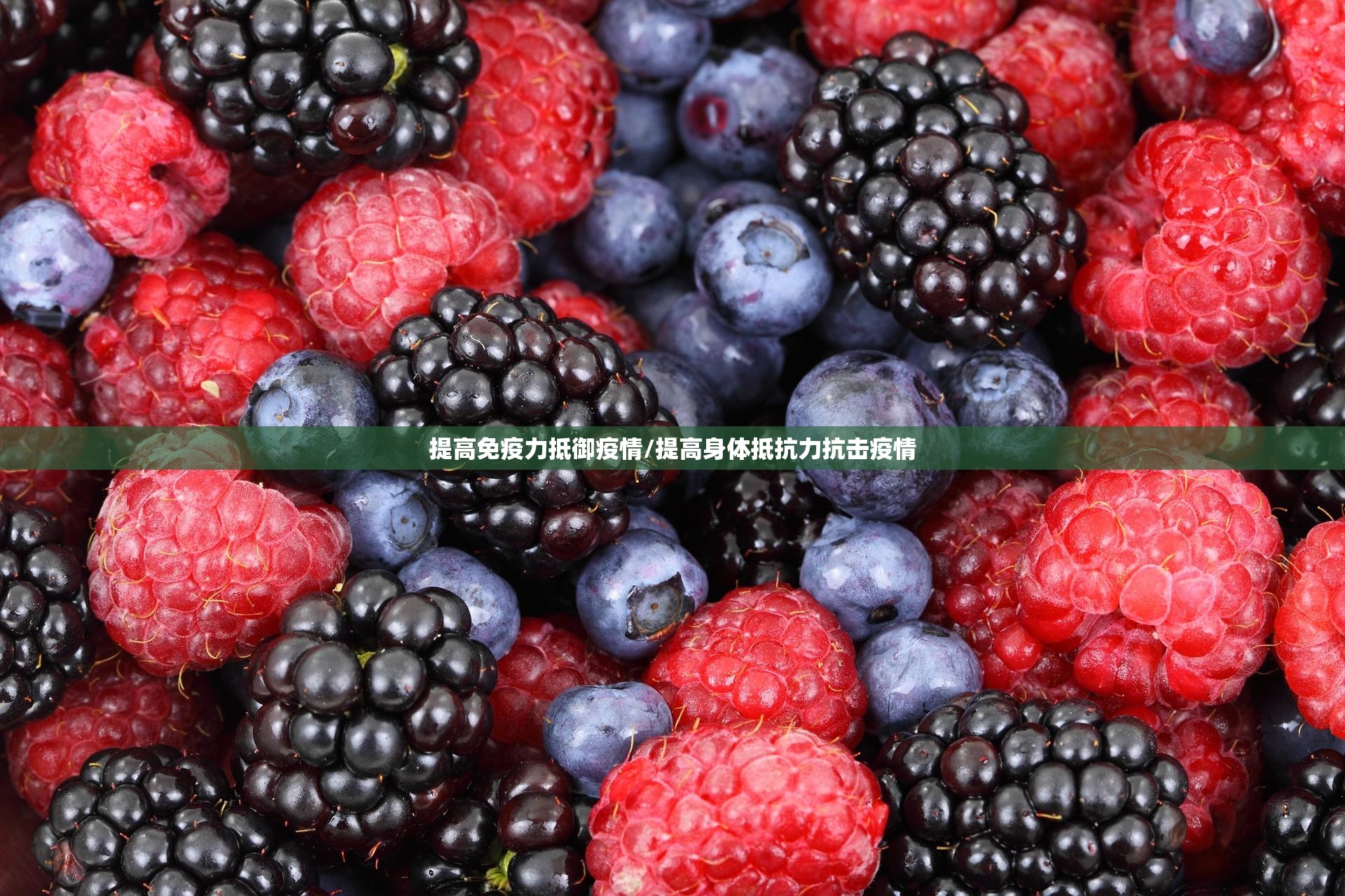 提高免疫力抵御疫情/提高身体抵抗力抗击疫情