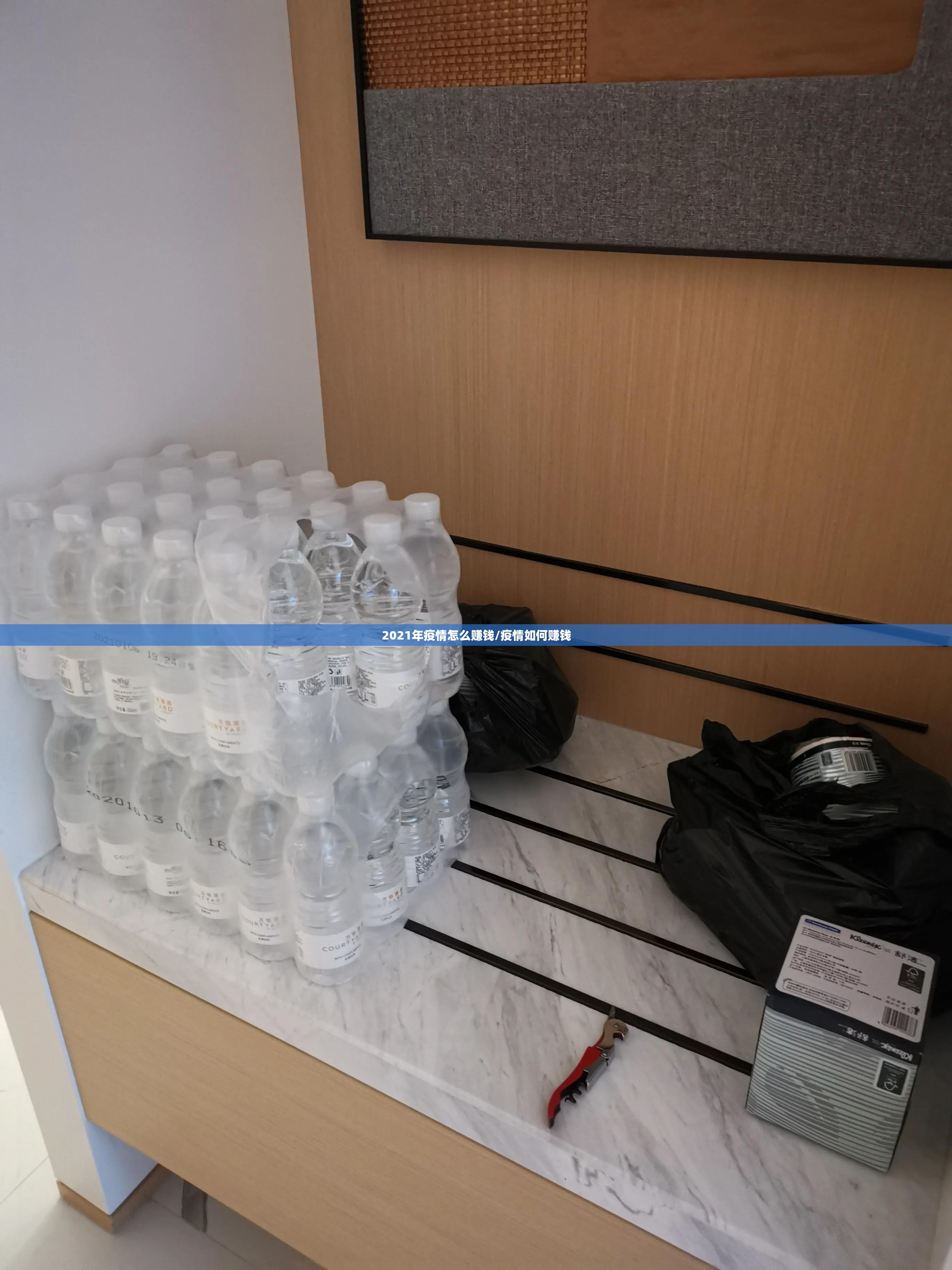 2021年疫情怎么赚钱/疫情如何赚钱 2021年疫情怎么赚钱/疫情如何赚钱