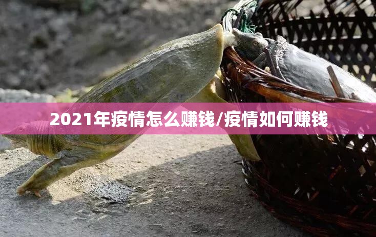 2021年疫情怎么赚钱/疫情如何赚钱 2021年疫情怎么赚钱/疫情如何赚钱