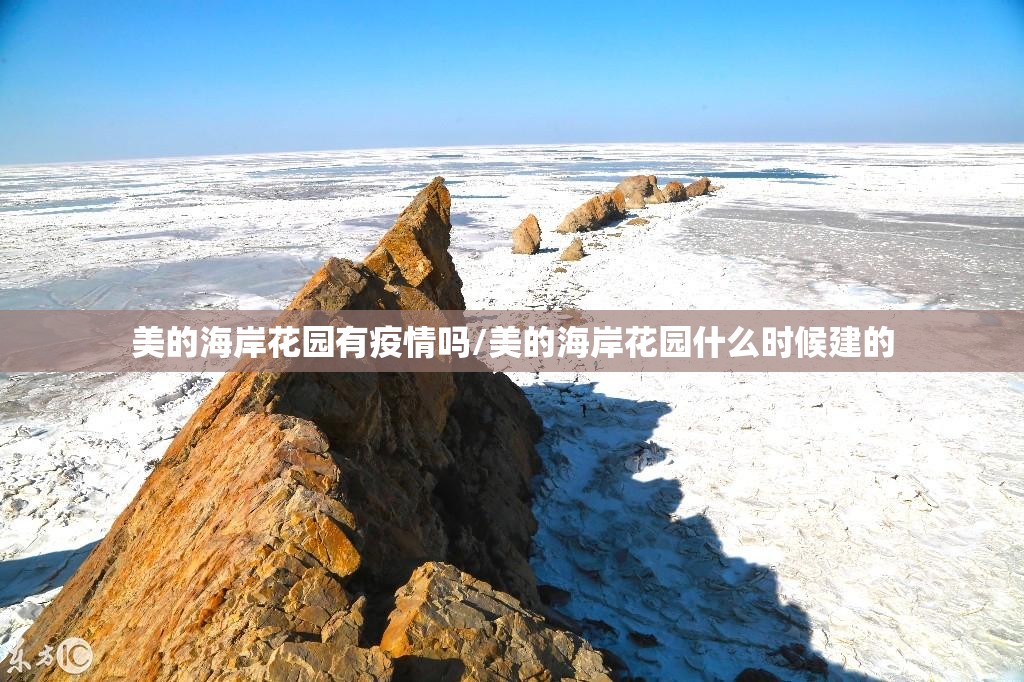 美的海岸花园有疫情吗/美的海岸花园什么时候建的 美的海岸花园有疫情吗/美的海岸花园什么时候建的