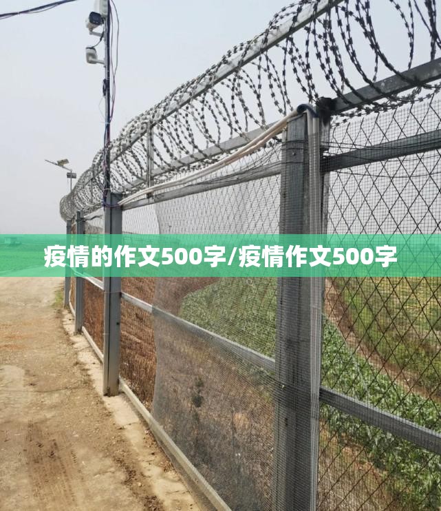 疫情的作文500字/疫情作文500字 疫情的作文500字/疫情作文500字
