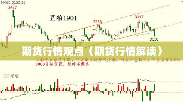 期货行情观点（期货行情解读）