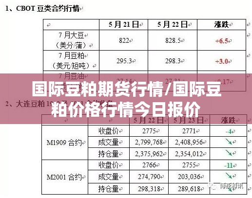 国际豆粕期货行情/国际豆粕价格行情今日报价