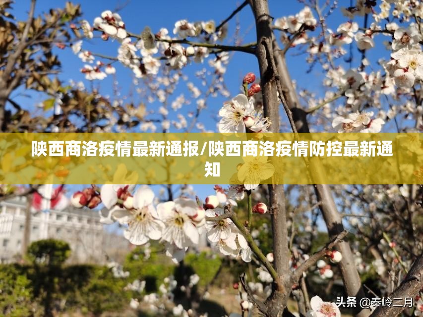 陕西商洛疫情最新通报/陕西商洛疫情防控最新通知