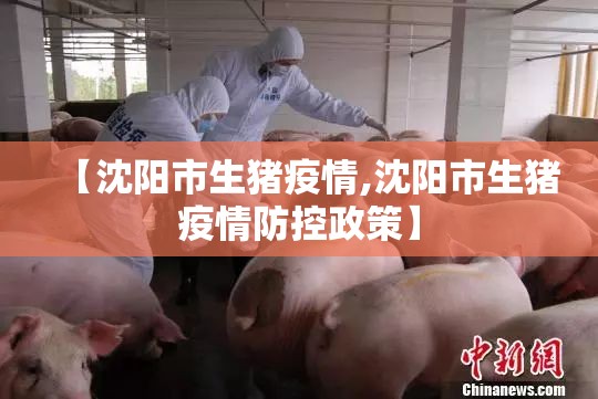 【沈阳市生猪疫情,沈阳市生猪疫情防控政策】 【沈阳市生猪疫情,沈阳市生猪疫情防控政策】