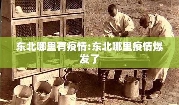 东北哪里有疫情:东北哪里疫情爆发了
