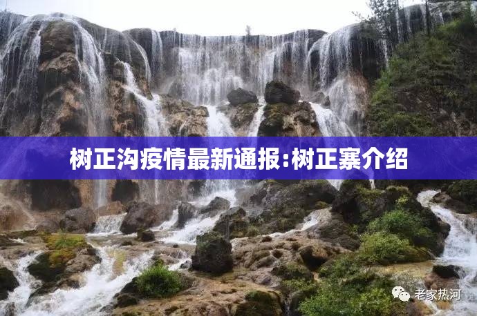 树正沟疫情最新通报:树正寨介绍 树正沟疫情最新通报:树正寨介绍