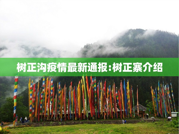 树正沟疫情最新通报:树正寨介绍 树正沟疫情最新通报:树正寨介绍
