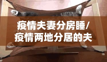 疫情夫妻分房睡/疫情两地分居的夫妻 疫情夫妻分房睡/疫情两地分居的夫妻