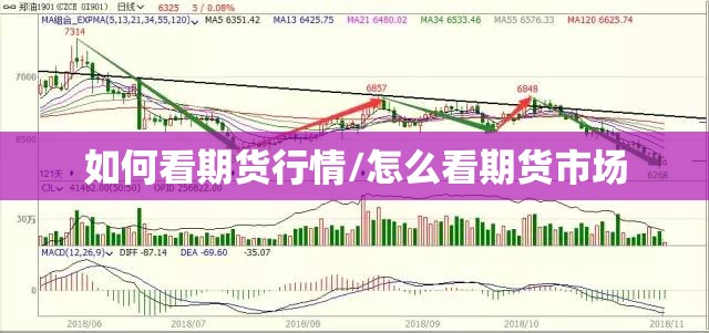 如何看期货行情/怎么看期货市场 如何看期货行情/怎么看期货市场