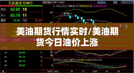 美油期货行情实时/美油期货今日油价上涨 美油期货行情实时/美油期货今日油价上涨