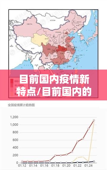 目前国内疫情新特点/目前国内的新冠疫情形势