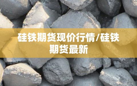 硅铁期货现价行情/硅铁期货最新 硅铁期货现价行情/硅铁期货最新