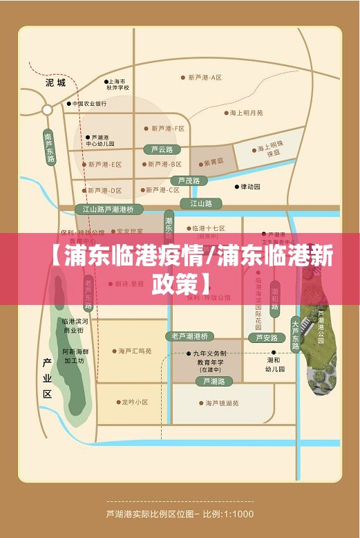 【浦东临港疫情/浦东临港新政策】